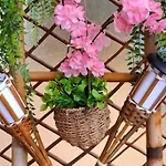 Cosy A 50m De La De Apartmán