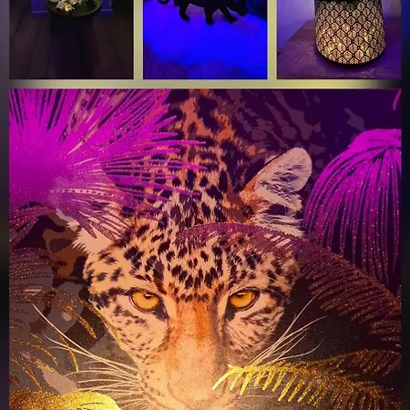 Cosy A 50m De La De * La Baule