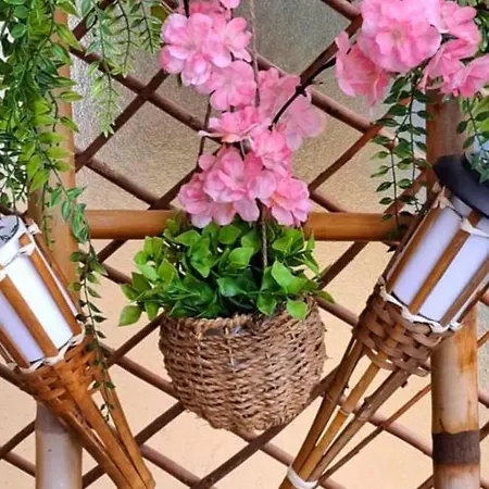 Cosy A 50m De La De شقة