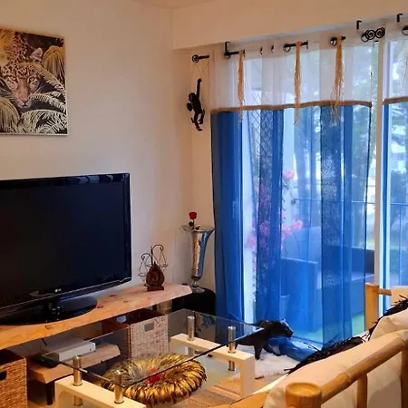 Cosy A 50m De La De 公寓