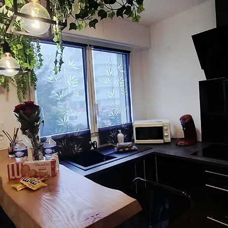 Cosy A 50m De La De Apartment *