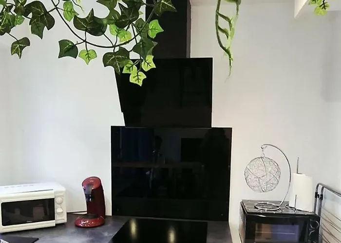 Cosy A 50m De La De Apartment