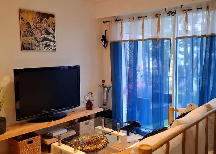 Cosy A 50m De La De Apartment