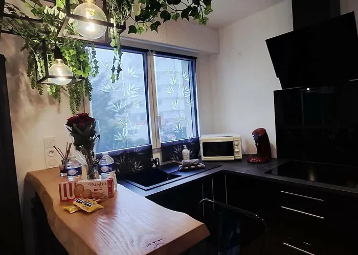 Cosy A 50m De La De Apartment *